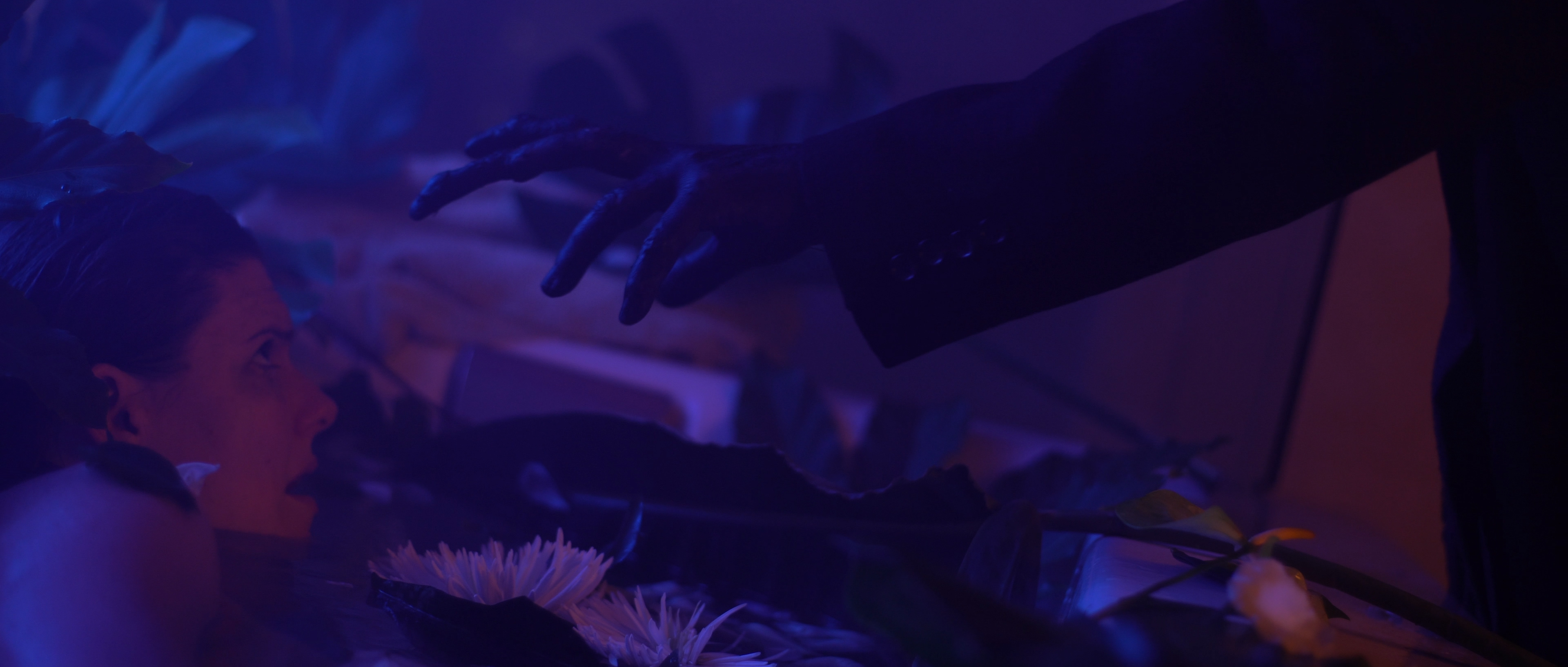 DP - Omar Juarez, Production Design by Austin Johnson, with Original Art by Ari Bach